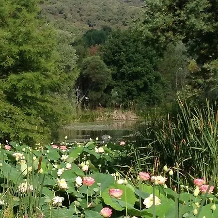 5pers Vue Parc Domaine Les Restanques * Grimaud